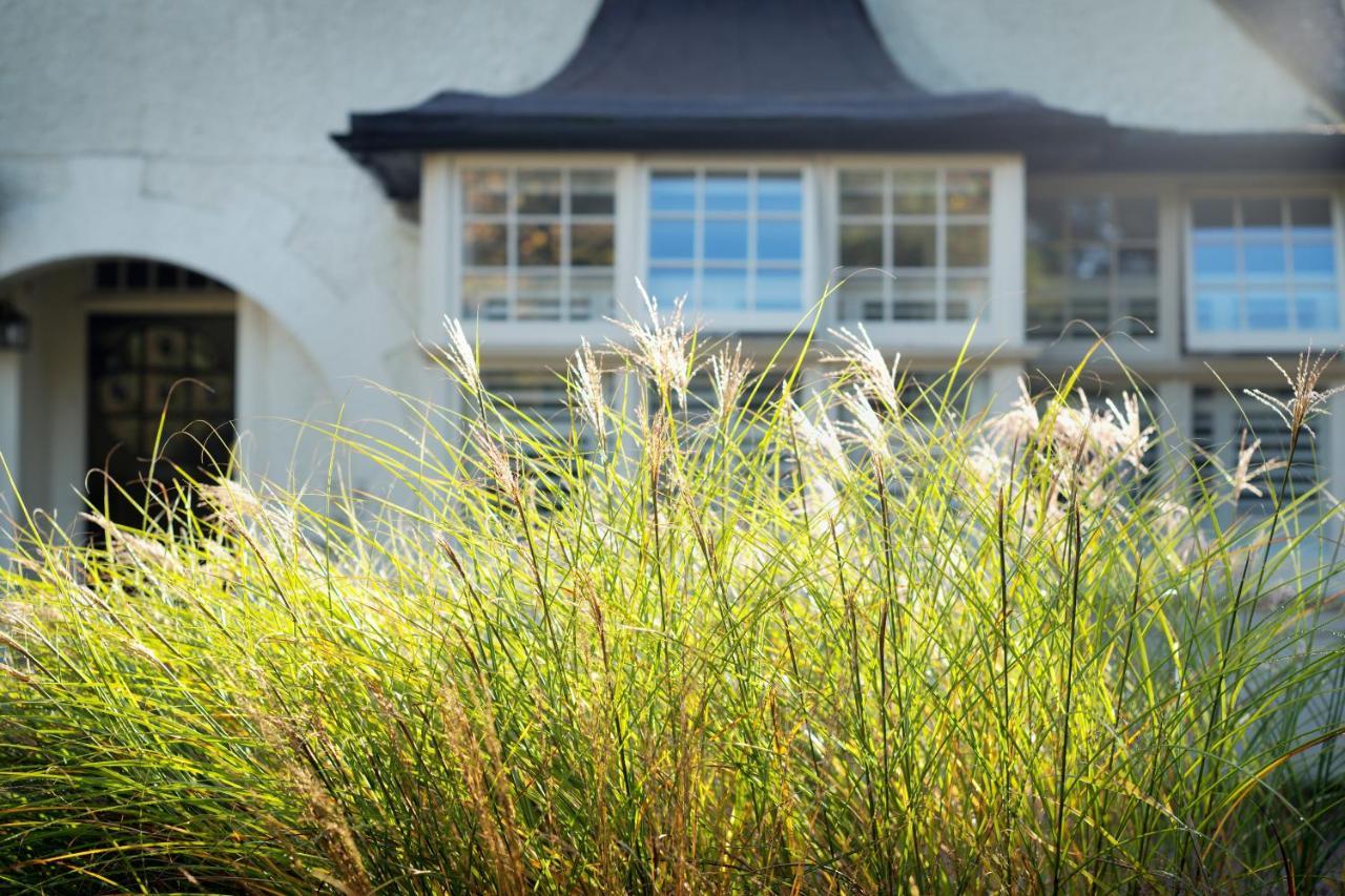 Daisybank Cottage Boutique Bed And Breakfast Brockenhurst Luaran gambar