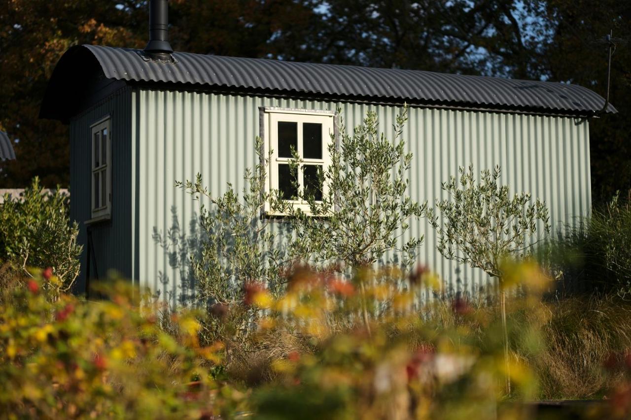 Daisybank Cottage Boutique Bed And Breakfast Brockenhurst Luaran gambar
